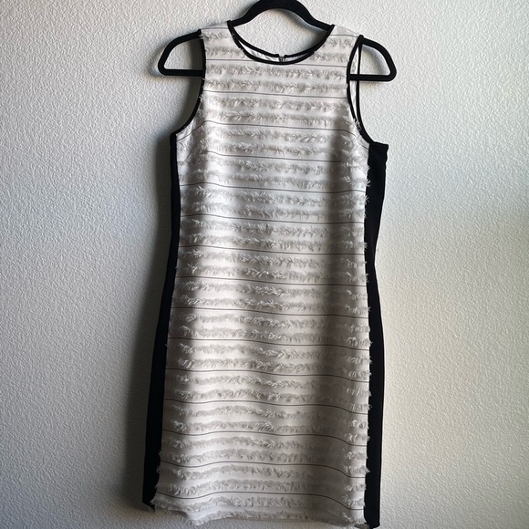 Women’s Sleeveless Striped Fringe Sheath Dress - Picture 2 of 7